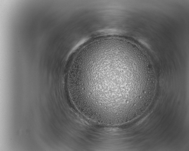 X0000080131309200612221847