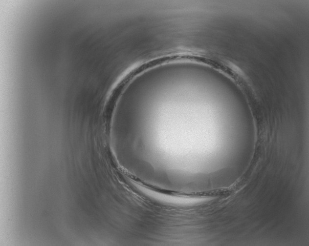 X0000080131310200612221847