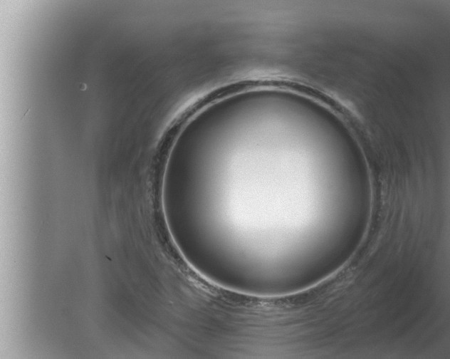 X0000080131311200612221847