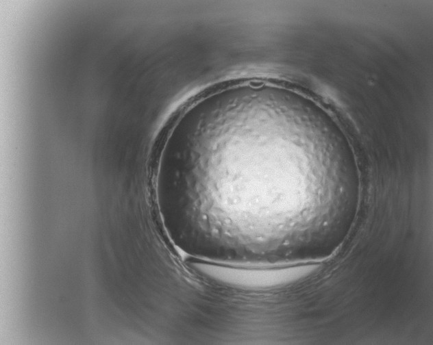 X0000080131312200612221847