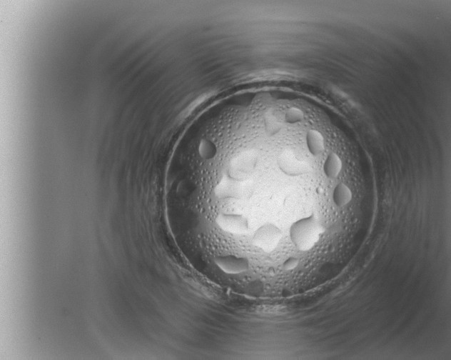 X0000080131313200612221847