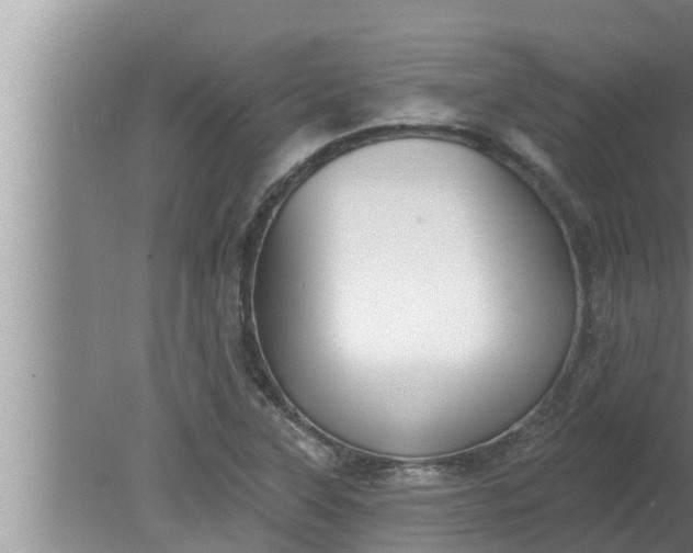 X0000080131315200612221847