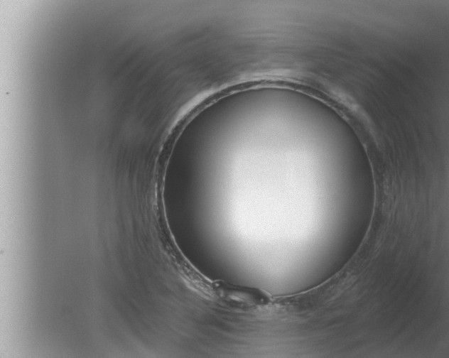 X0000080131316200612221847