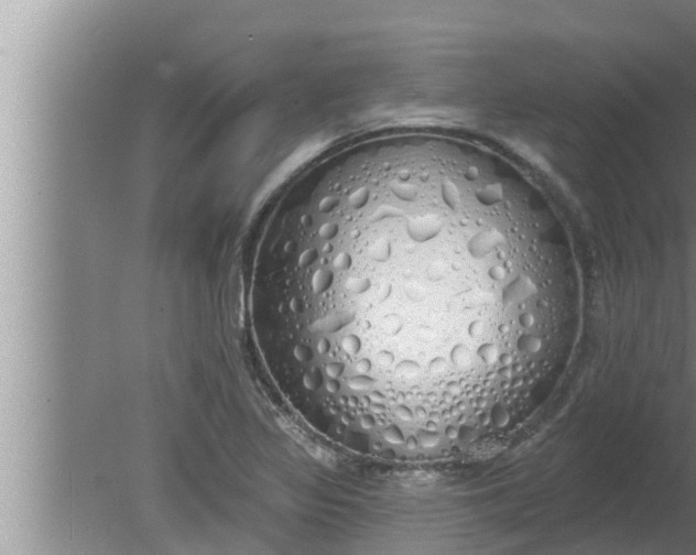 X0000080131317200612221847