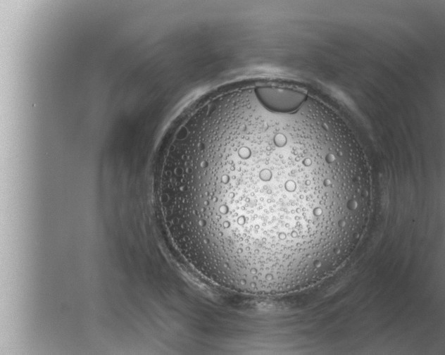 X0000080131318200612221847