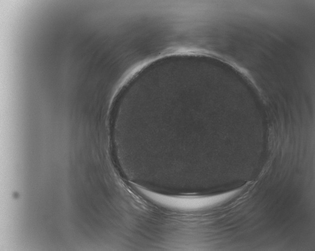 X0000080131319200612221847