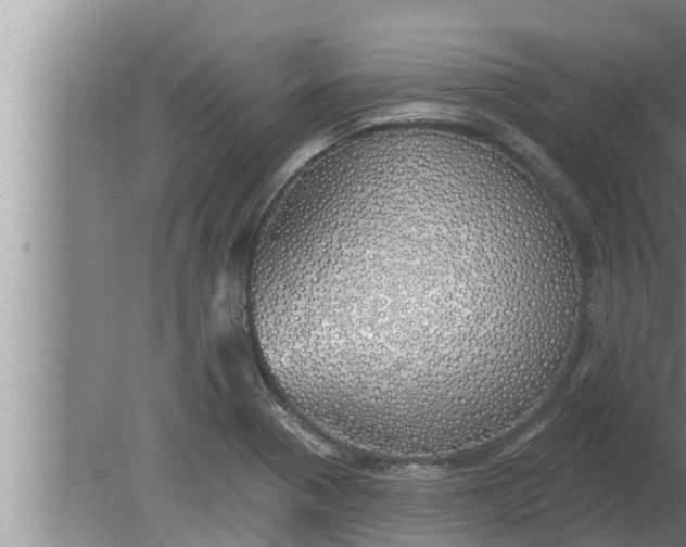 X0000080131321200612221847