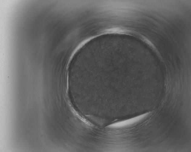 X0000080131323200612221847