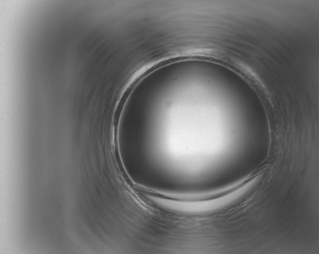 X0000080131324200612221847