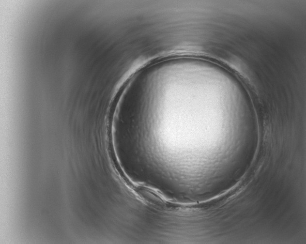 X0000080131325200612221847