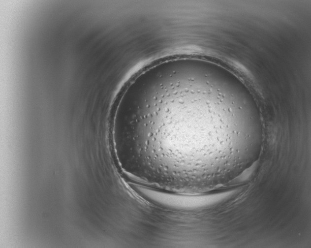 X0000080131326200612221847