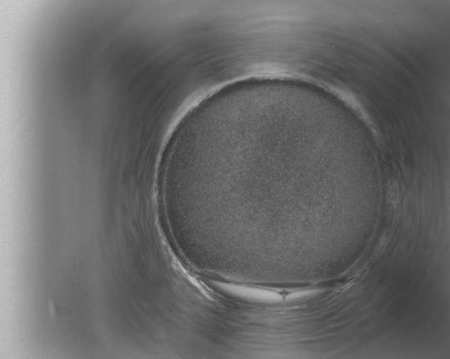 X0000080131327200612221847