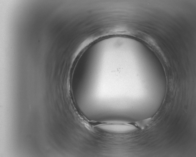 X0000080131328200612221847