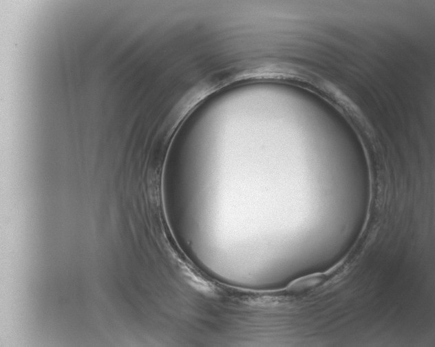 X0000080131329200612221847