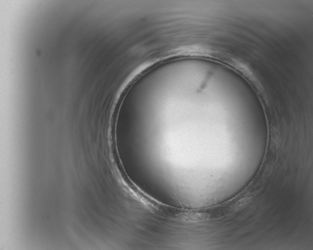 X0000080131331200612221847