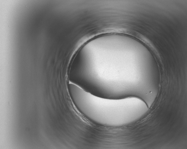 X0000080131332200612221847