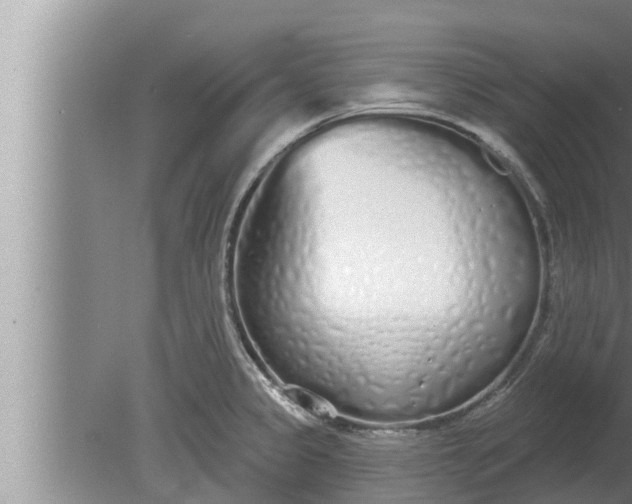 X0000080131333200612221847