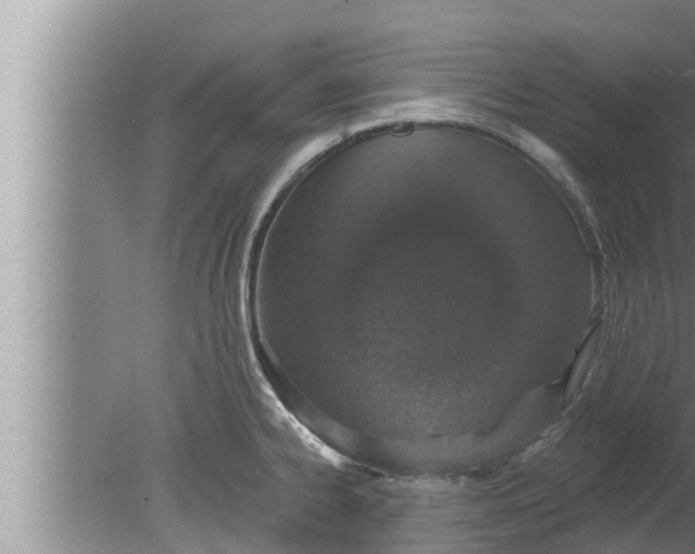 X0000080131334200612221847