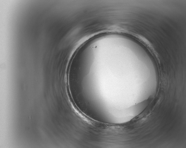 X0000080131335200612221847