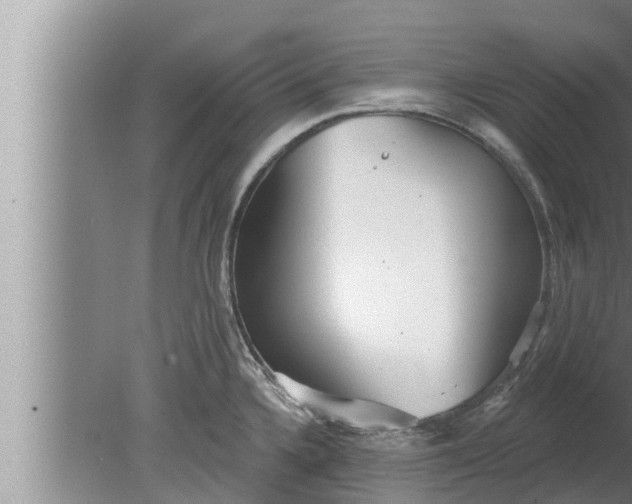 X0000080131336200612221847