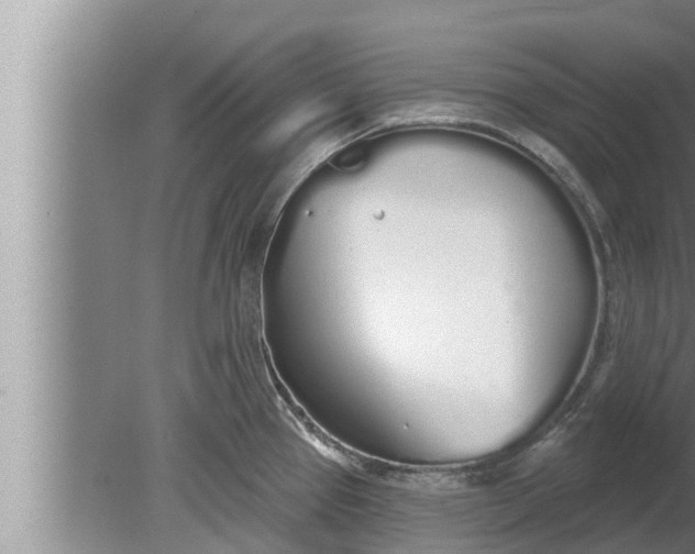 X0000080131337200612221847