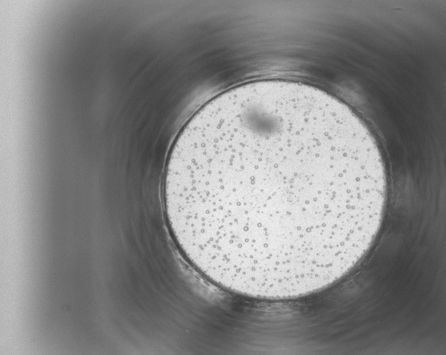 X0000080131338200612221847