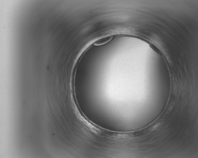 X0000080131339200612221847