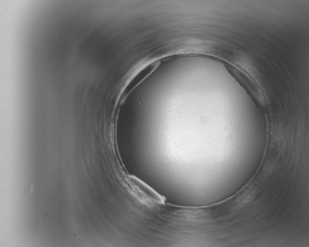 X0000080131340200612221847