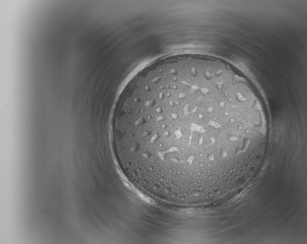 X0000080131341200612221847