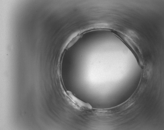 X0000080131342200612221847