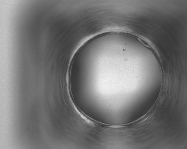 X0000080131343200612221847