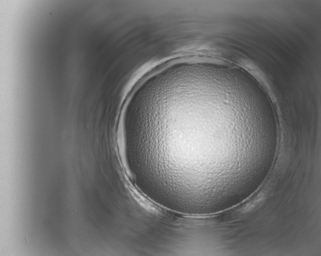 X0000080131344200612221847