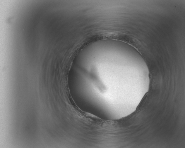 X0000080131345200612221846