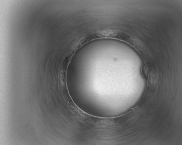 X0000080131346200612221846