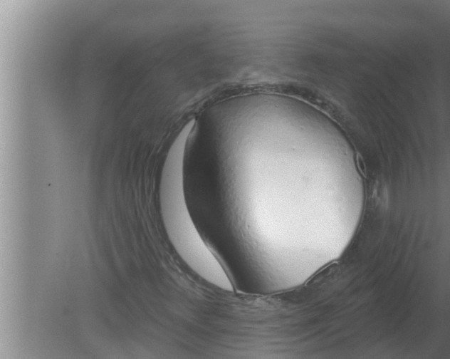 X0000080131348200612221846