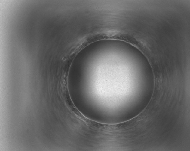 X0000080131349200612221846