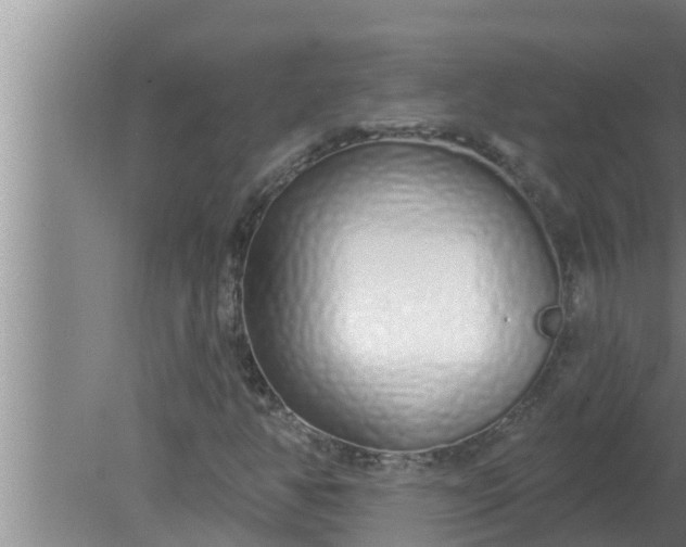 X0000080131350200612221846