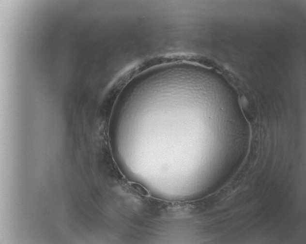 X0000080131351200612221846