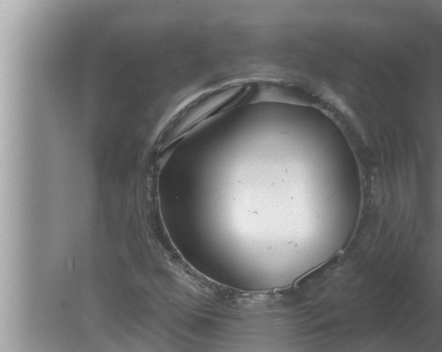 X0000080131352200612221846