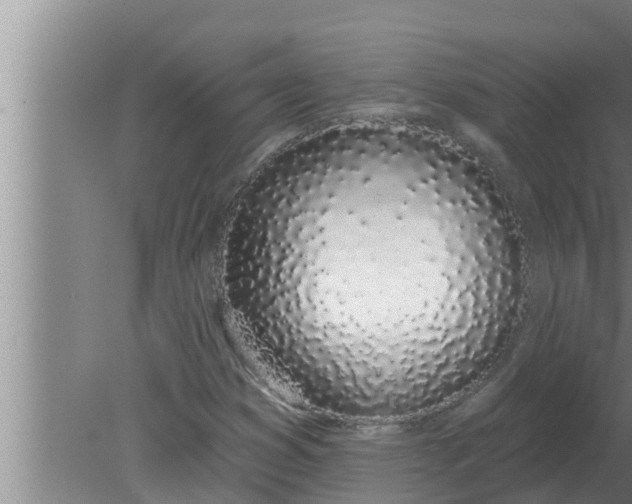 X0000080131353200612221846