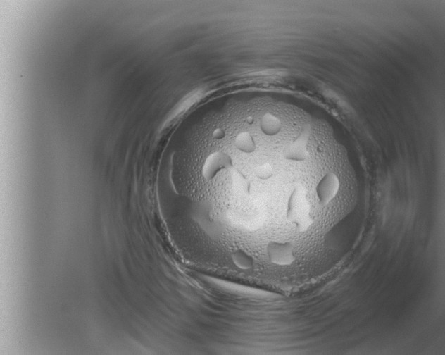 X0000080131354200612221846