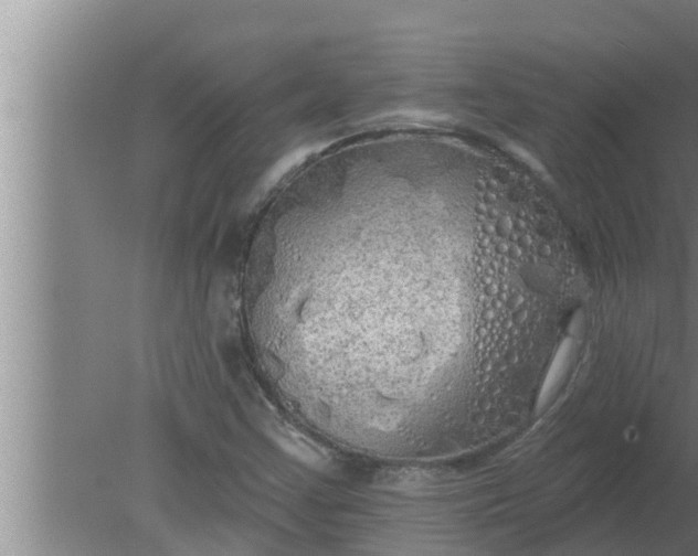 X0000080131355200612221846