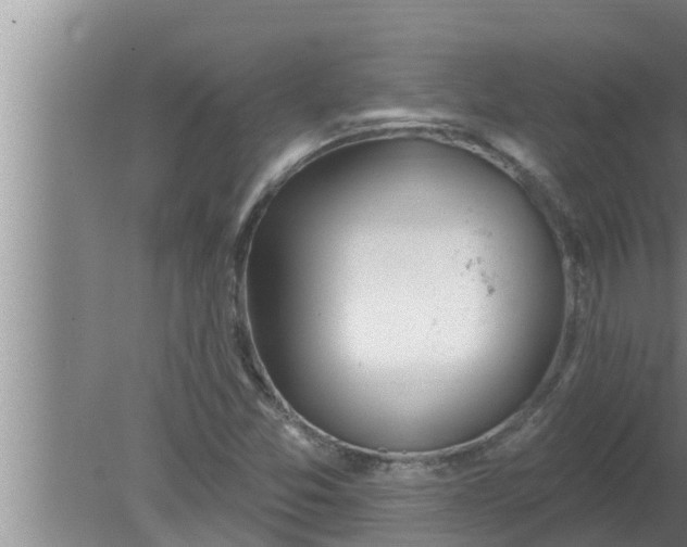 X0000080131357200612221846