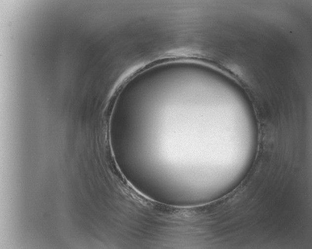 X0000080131358200612221846