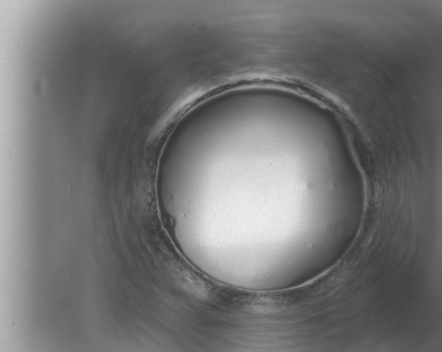 X0000080131359200612221846