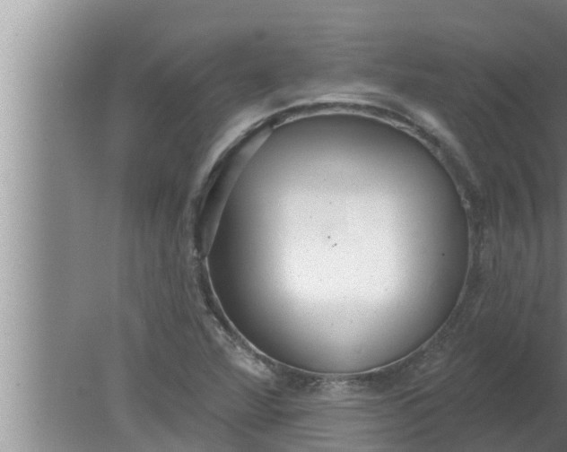 X0000080131360200612221846