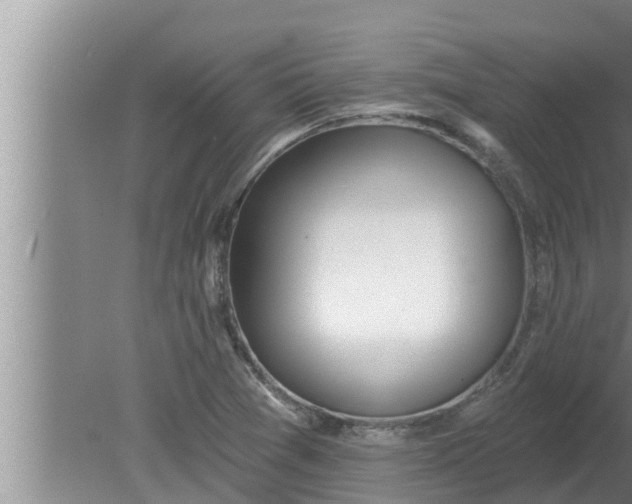 X0000080131361200612221846