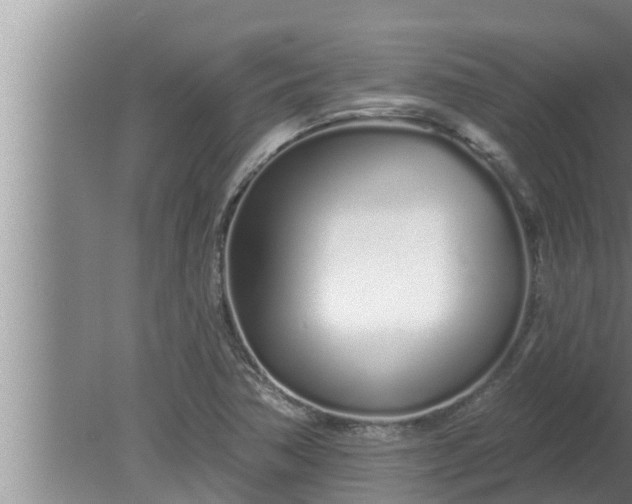 X0000080131362200612221846