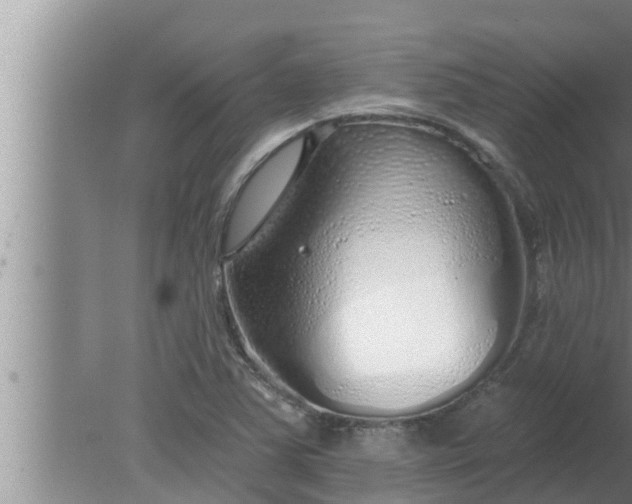 X0000080131363200612221846