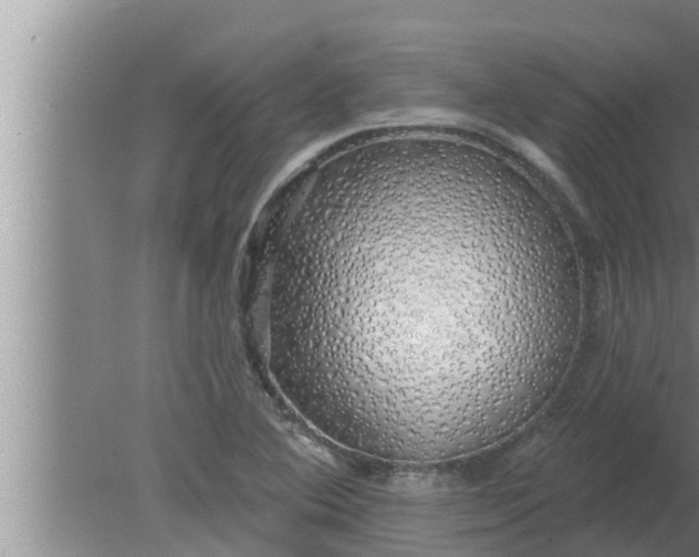 X0000080131364200612221846